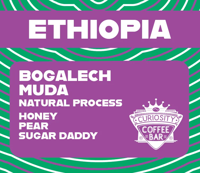 Ethiopia Bogalech Muda